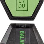 Shampoo Solidu The Balance Stang Munt Rozemarijn (70 g)