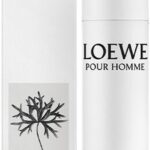 LOEWE POUR HOMME deo vapo 100 ml