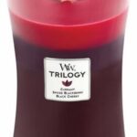 WoodWick Hourglass Large Trilogy Geurkaars - Ripened Berries