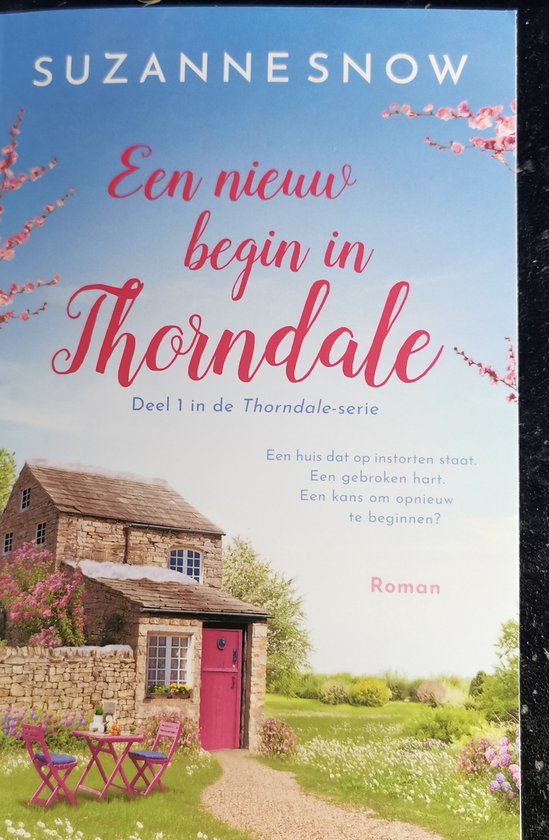 549x840 Thorndale 1 - Een nieuw begin in Thorndale - Afbeelding 1