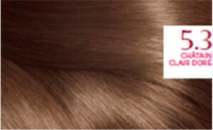 L'oréal Paris Excellence Creme Tinte #5,3 Castaño Claro Dorado 1 U - Afbeelding 4