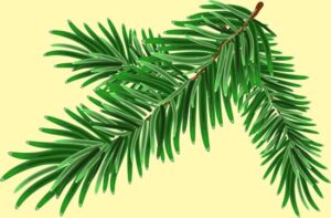 Real Madrid Geschenkset - Eau de Toilette 100 ml & Parfumpen - Met Toilettas - Afbeelding 4