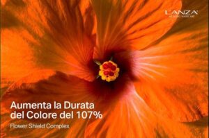 LÃƒÆ’Ã‚Â¢ÃƒÂ¢Ã¢â‚¬Å¡Ã‚Â¬ÃƒÂ¢Ã¢â‚¬Å¾Ã‚Â¢ANZA Healing ColorCare Color Preserving Shampoo 300 ml - Afbeelding 2