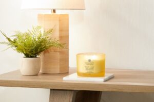 Chesapeake Bay Strength & Energy - Pineapple Coconut 3-Wick Candle - Afbeelding 3