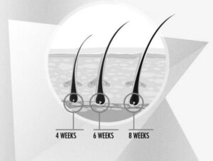 Nanolash Wimperserum - Afbeelding 2