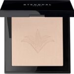 Stendhal Perfecting Compact Powder 110 Porcelaine 9g