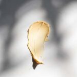 Daily Skin Health Skin Smoothing Day Cream   Intensively moisturizing and protective cream - Afbeelding 3