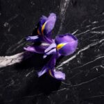 JOOP ! Homme Le Parfum Eau de Parfum 125 ml Herenparfum - Afbeelding 4