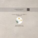 RITUALS Homme 24h Anti-Perspirant Stick - 75 ml - Afbeelding 4