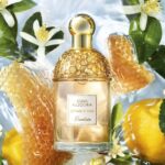 Guerlain - Damesparfum - Aqua Allegoria Nettare Di Sole - Eau de toilette 125 ml - Afbeelding 3