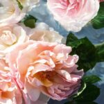 Guerlain Aqua AlLegoria Rosa Rossa Eau De Toilette Spray 125 Ml For Women - Afbeelding 4