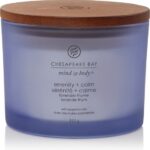 Chesapeake Bay Serenity & Calm - Lavender Thyme 3-Wick Candle