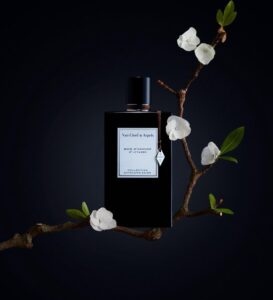 Van Cleef & Arpels Coll Extraordinaire Bois D'amande (u) Edp 75 Ml Fr - Afbeelding 2