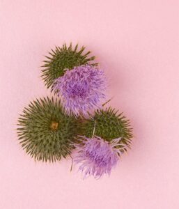 NIVEA Naturally Good Anti-Age Dagcreme - 50ml - Afbeelding 9