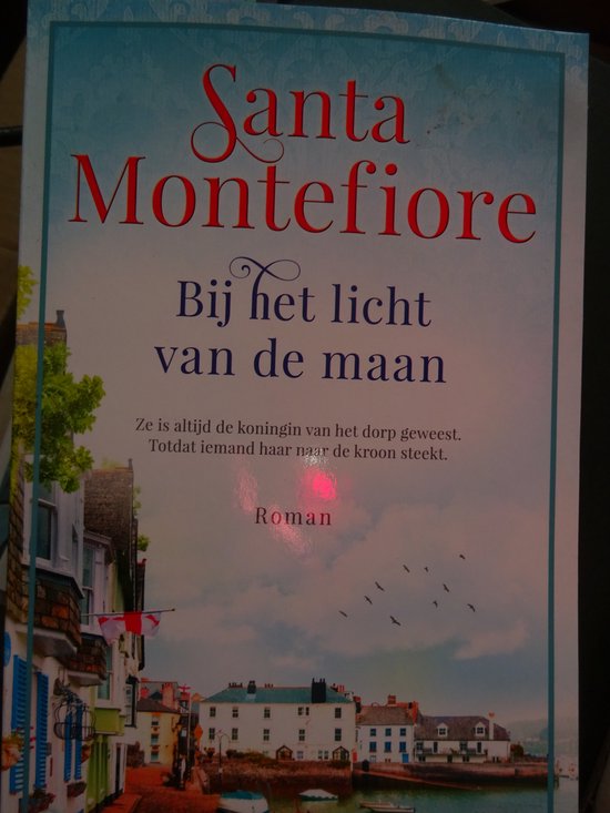 550x733-715 Bij het licht van de maan Sante Montefiore - Boek - Afbeelding 1