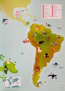 Mijn Eerste Junior Atlas - Dieren - Afbeelding 4