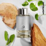 MONTBLANC - Platinum Deodorant Stick - 75 gr - Heren deodorantstick - Afbeelding 2